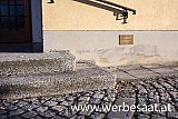 Herzogbirbaum, Hochwassermarke 1995 am Kirchenportal - Eindr&uuml;cke von Herzogbirbaum