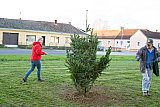 Entfesselung. Foto &copy; R. Raberger - Der neue Christbaum bei der Kirche, 29.10.2020