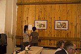 Die Bilder von Brigitte Bayer fanden gro&szlig;es Interesse - Bl&uuml;tenfest 2018