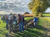 Neue Pflanzungen im Ortsgebiet, 23.10.2021