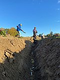 Neue Pflanzungen im Ortsgebiet, 23.10.2021