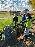 Neue Pflanzungen im Ortsgebiet, 23.10.2021