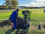Neue Pflanzungen im Ortsgebiet, 23.10.2021