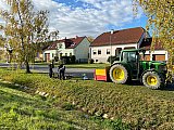 Neue Pflanzungen im Ortsgebiet, 23.10.2021