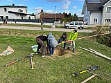 Neue Pflanzungen im Ortsgebiet, 23.10.2021