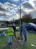 Neue Pflanzungen im Ortsgebiet, 23.10.2021